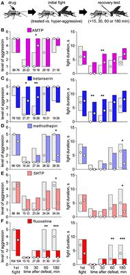 Serotonin Mediates Depression of Aggression After Acute and Chronic Social Defeat Stress in a Model Insect